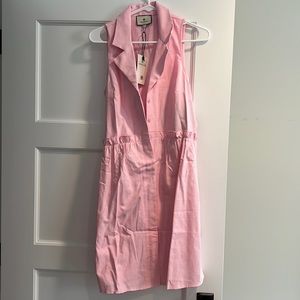 Tuckernuck Oxford pink sleeeveless dress